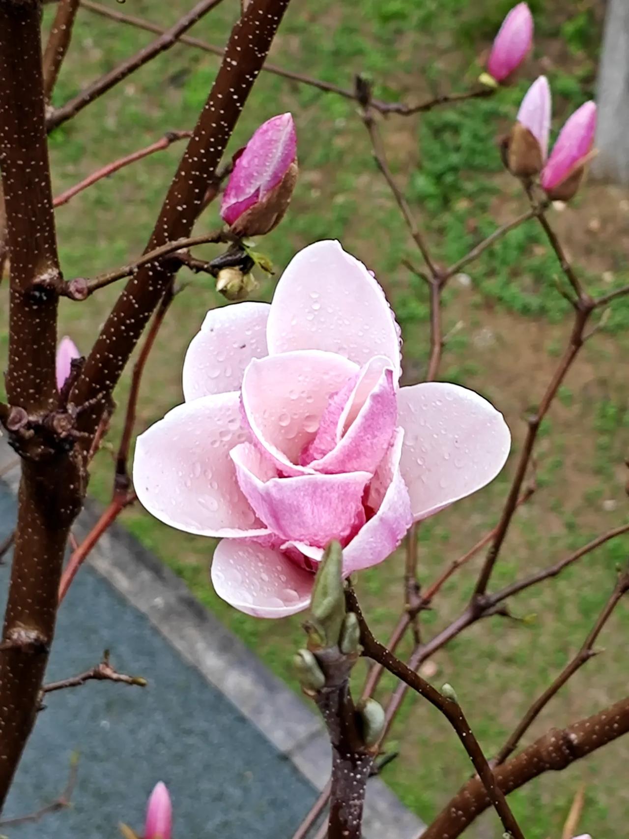 钱啊钱
婆婆住院，又是请护工，又是转院，三个儿女路上奔波。这次在老家住院，花费7