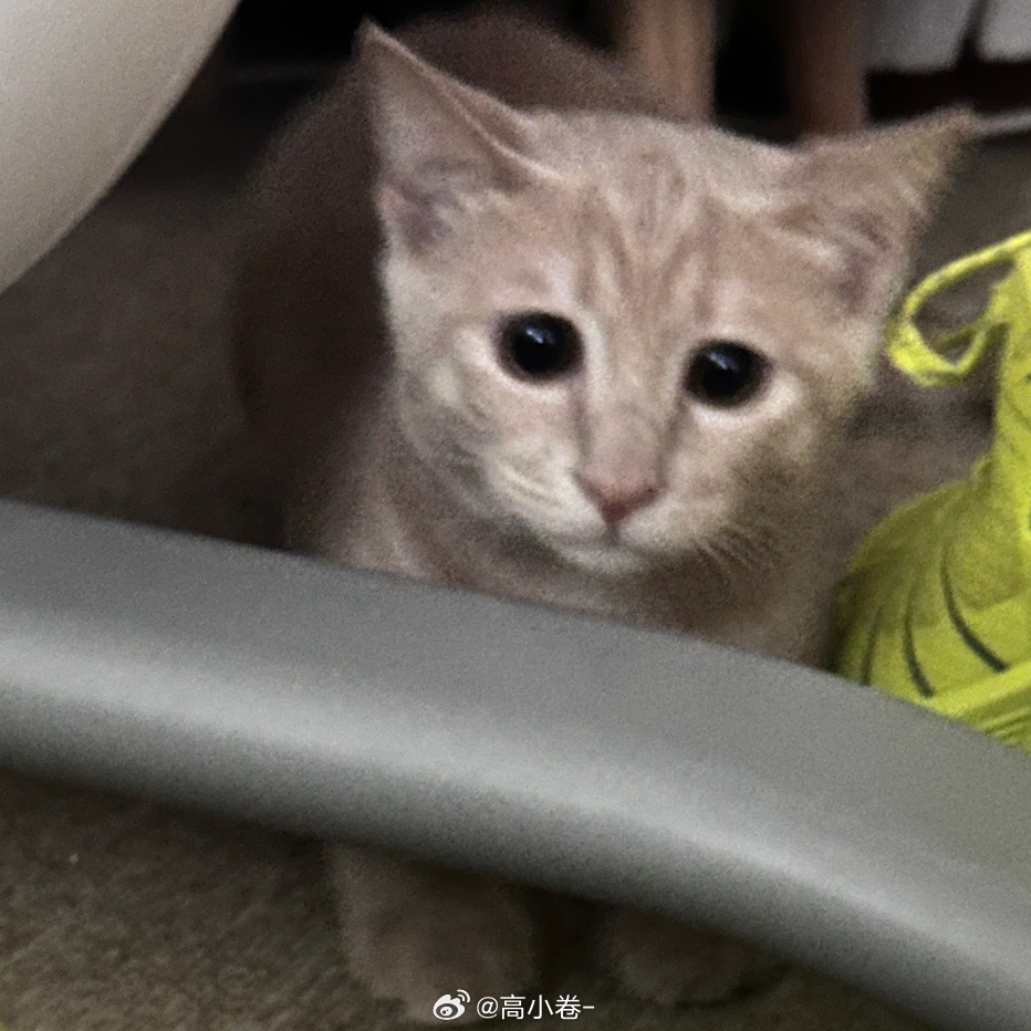 先是没有提前通知的晚点了然后是登机登一半暂停了6点多了大家都在成都吃上火锅了我还