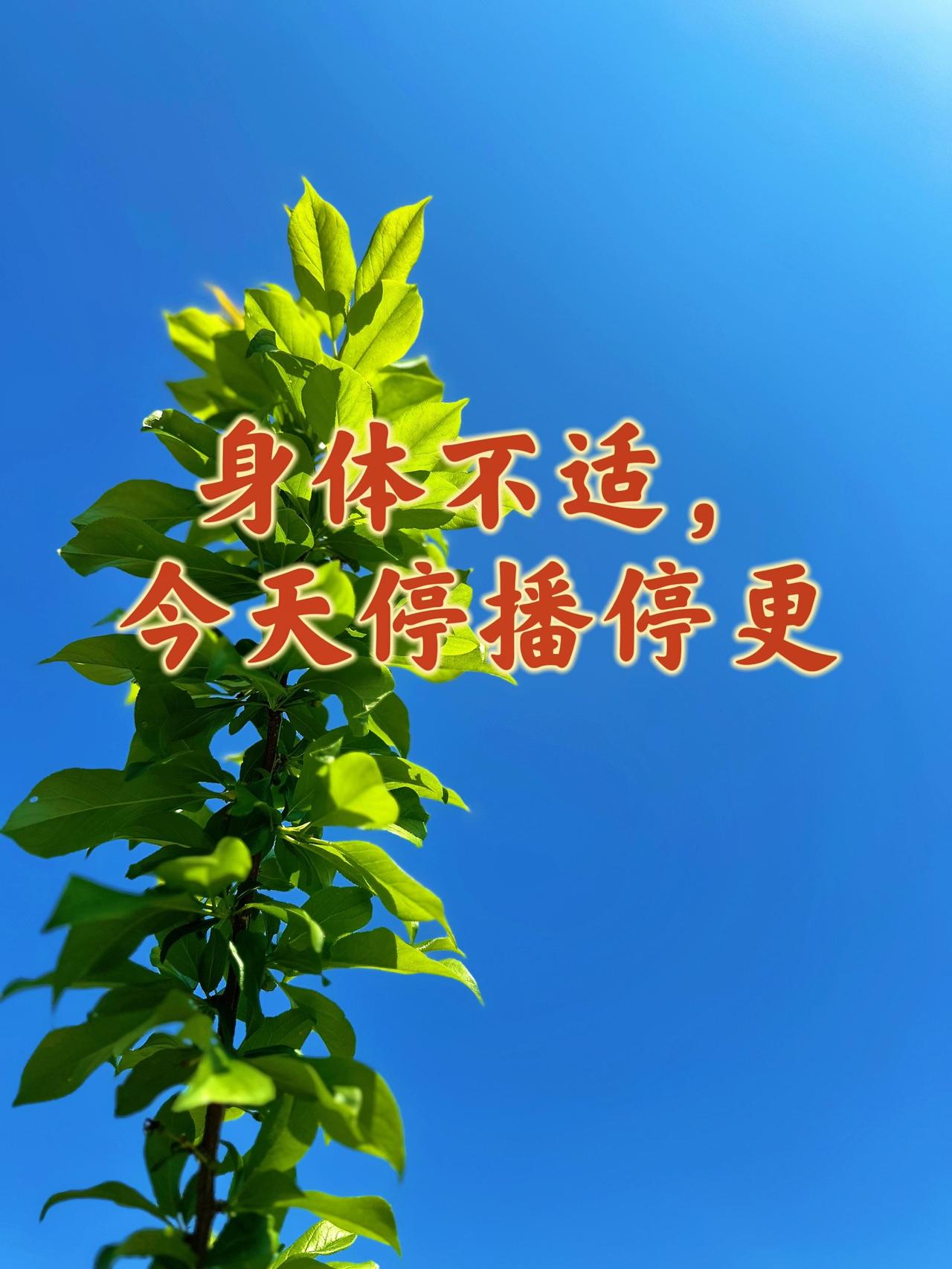 今天情绪有点波动，身体也跟着不舒服，心脏突突的难受，今晚直播暂停啦，视频也没能按