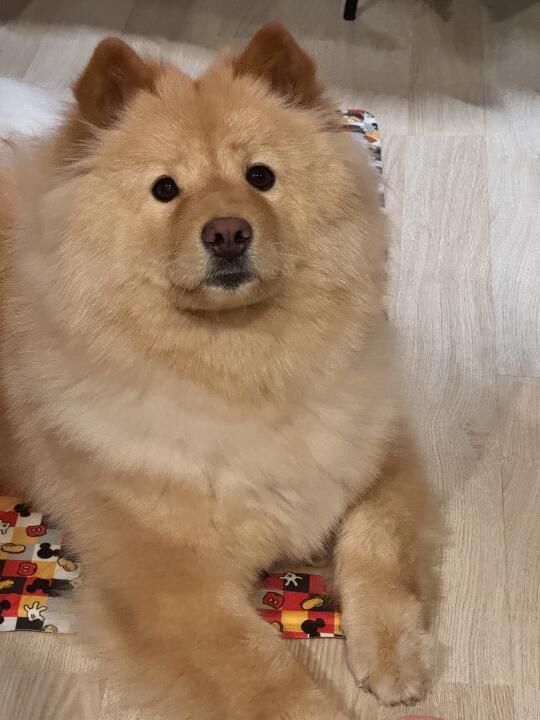 小豆来啦！提前祝ee们周末愉快