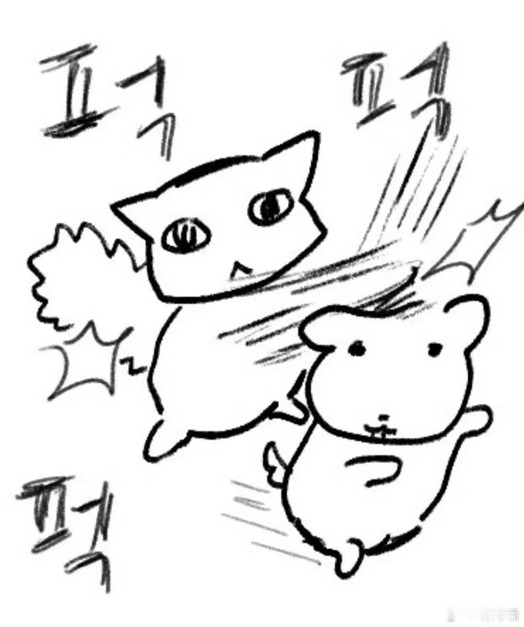 猫狗 