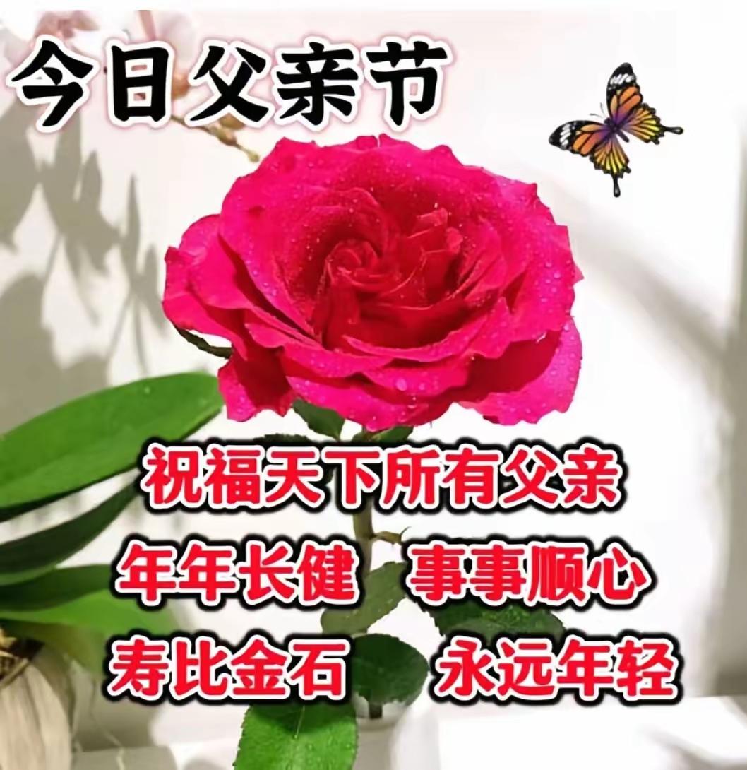 在这个特别的日子里，必须得祝所有做父亲的人节日快乐！父亲，就像家里的定海神针。小