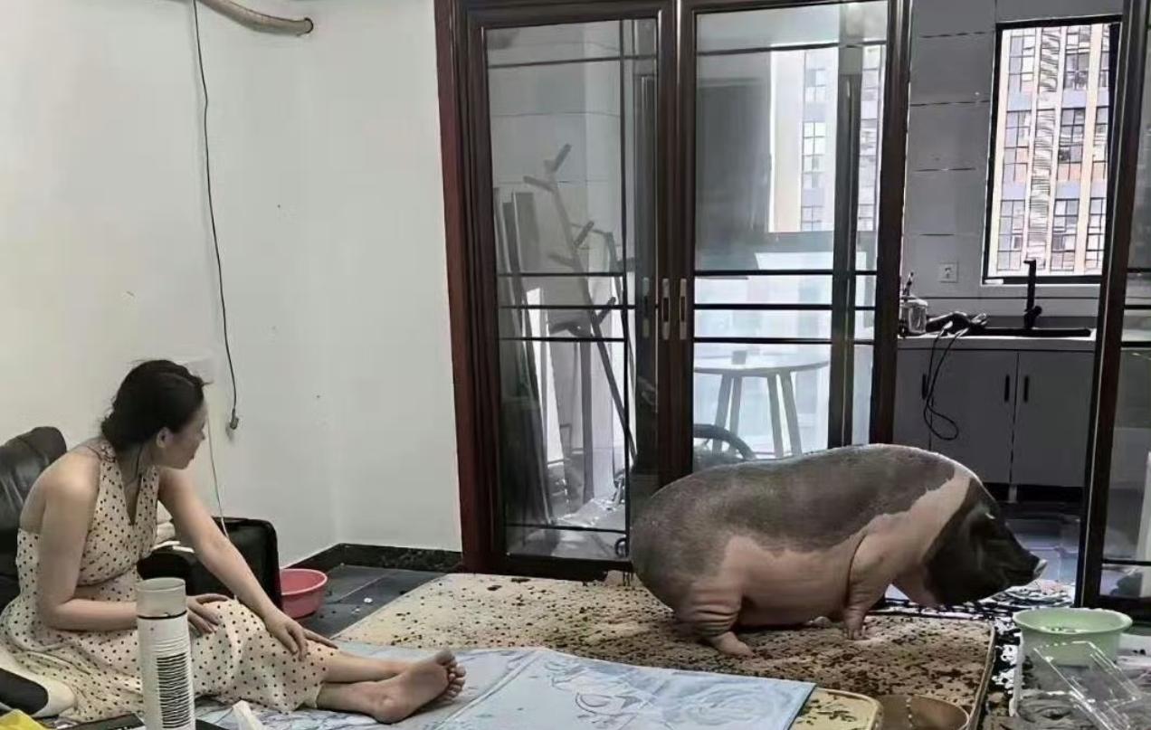 这样的家，我是一刻都待不下去了！ ​​​该怎么办，要不要离婚？