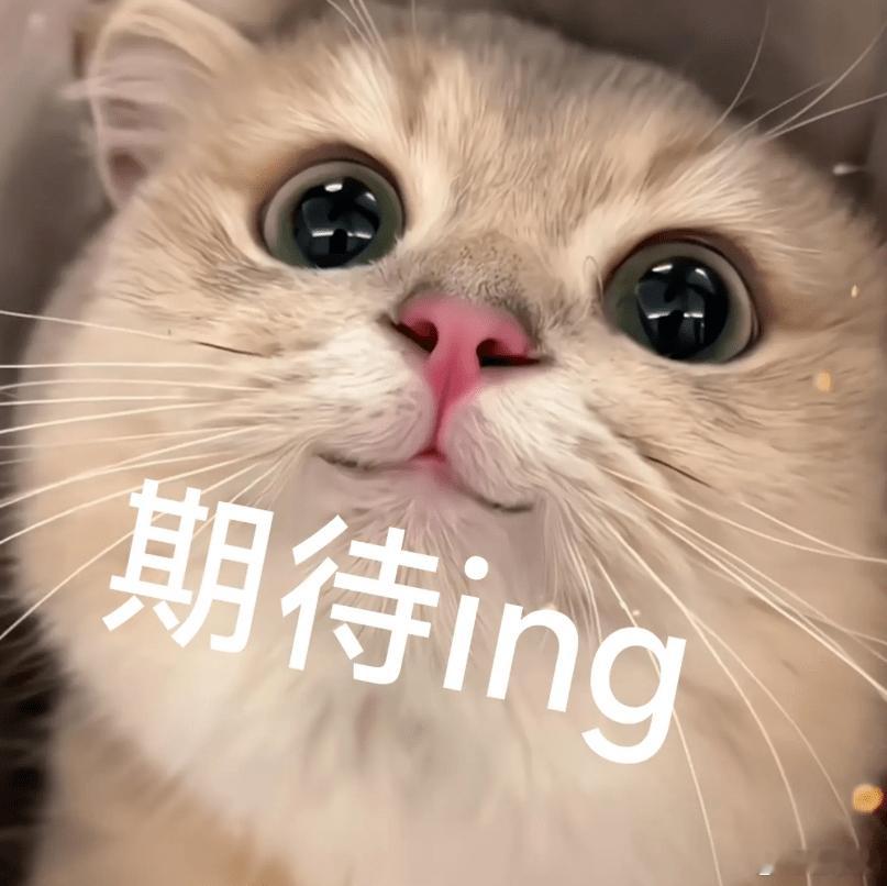 原来看视频还能掉稀有卡 不管是大卡小卡，集卡已经成为新型社交手段，小卡也承载了越