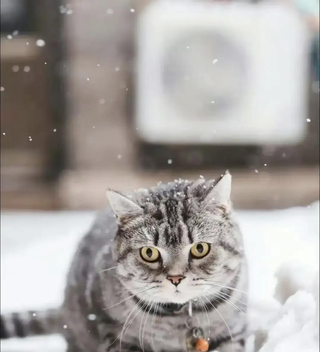 刷到个帖子教人“激发女人兽性”，点进去一看，原来是把“让她感觉被需要、守护她的热