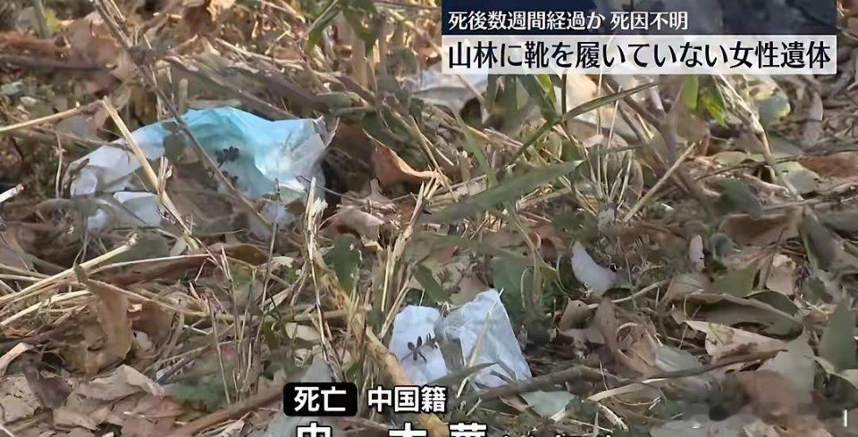 可怜啊，惨死异国他乡，更多消息流出来，这位被抛在山林中的女性尸体。是一名50多岁