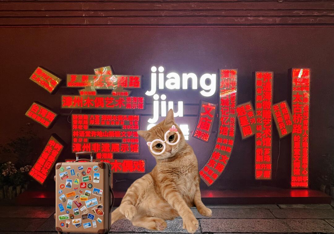 宠物去旅游