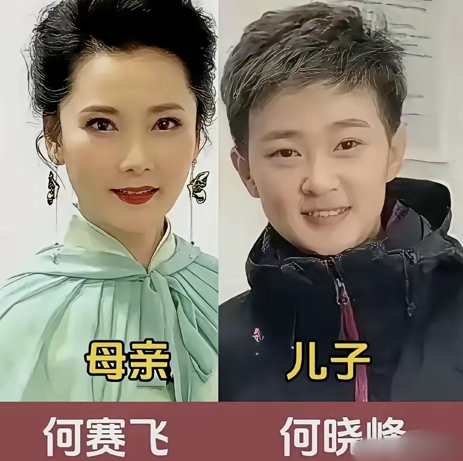 妈妈的颜值决定儿子的底色，气质却是半生温柔滋养而成，何赛飞自带江南气韵，儿子完美
