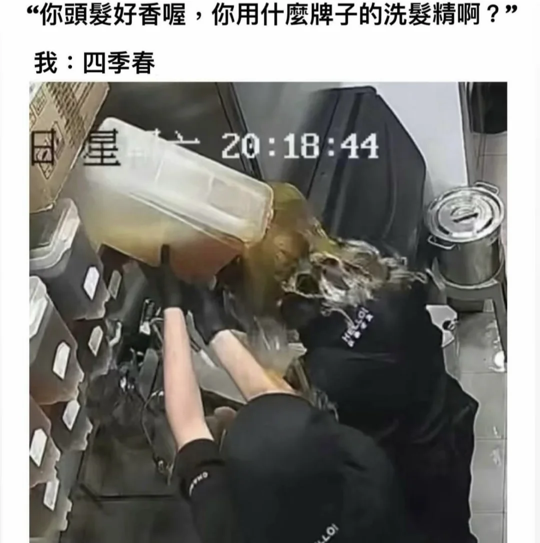 ✨🤩meme笑话梗图