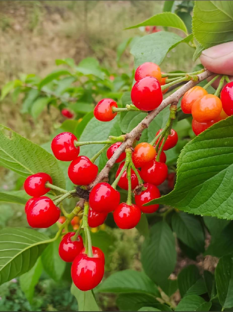 每一个出轨的女人，都会成为男人酒桌上的谈资和笑话，可能还有小视频和照片一起共享观