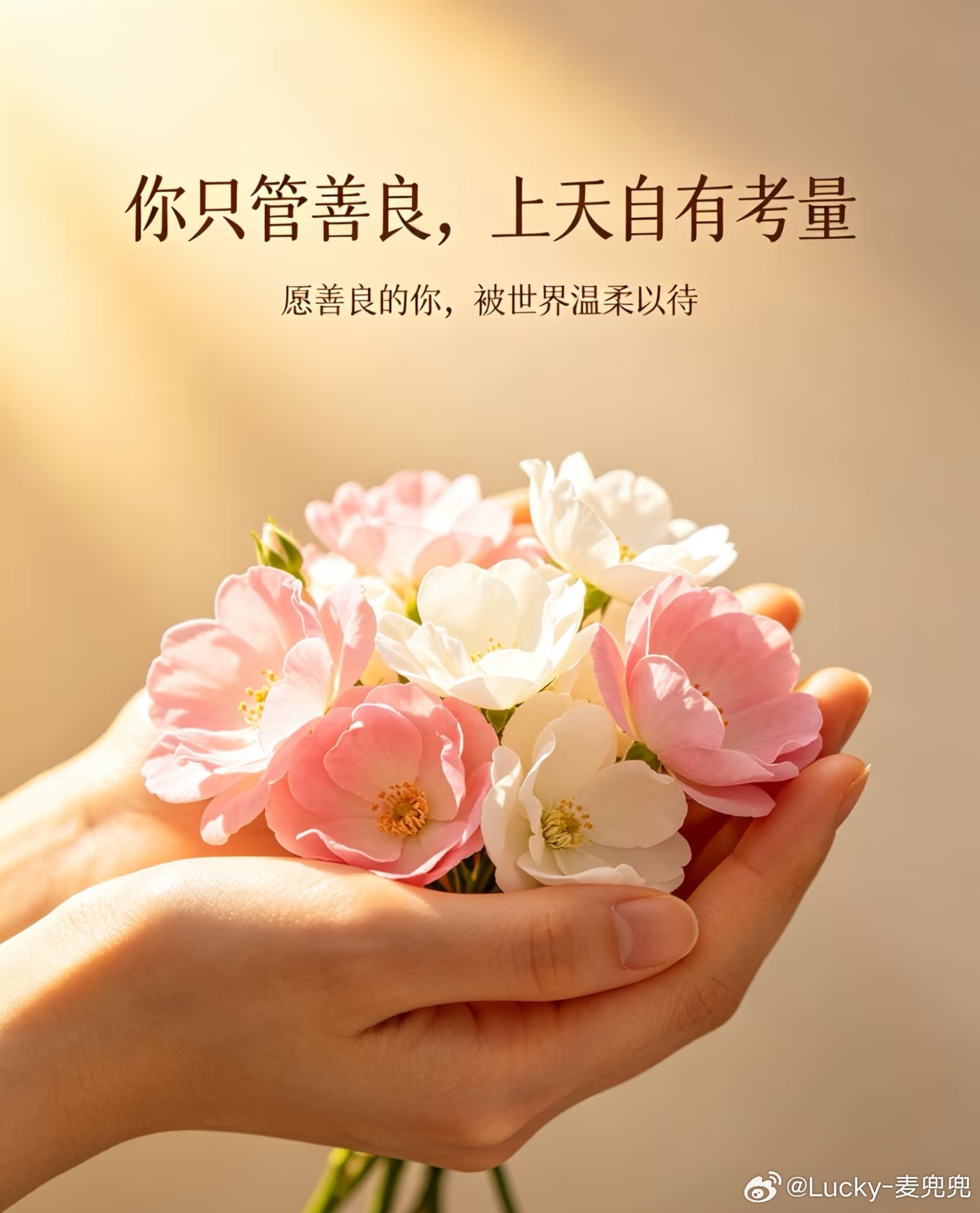 卖菜老人去世孙子称不要为难博主博主好心买光81岁爷爷所有青菜，还请老人吃了难得的