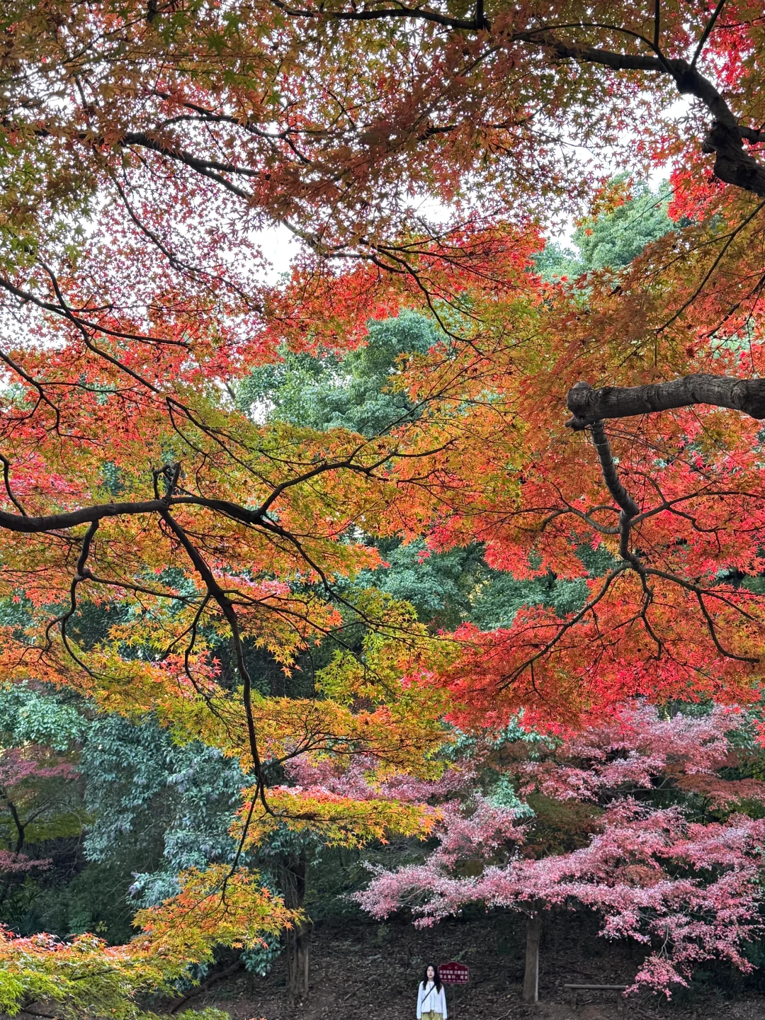 12.1 这就是live图的意义吧😭😭😭