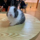 暖柏说说影视剧