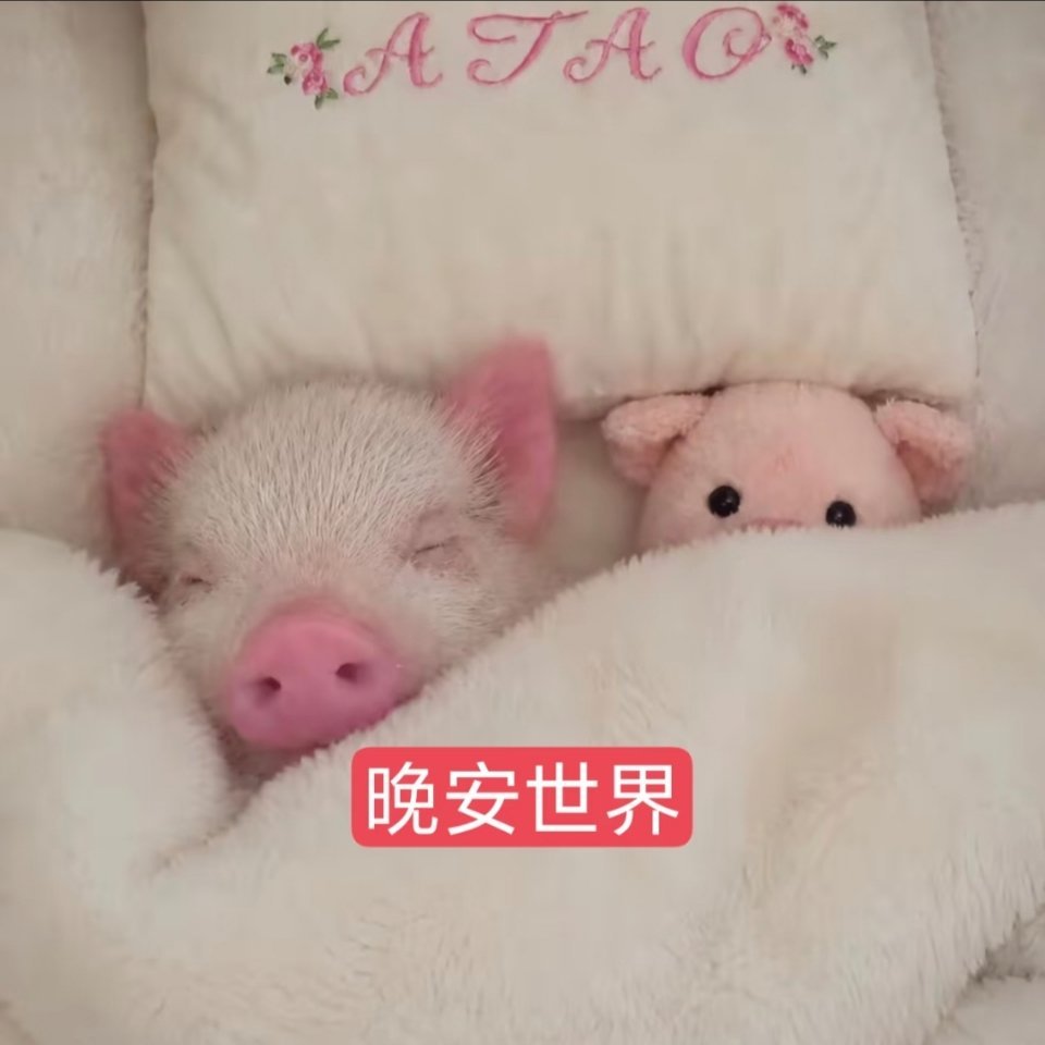 分享图片 