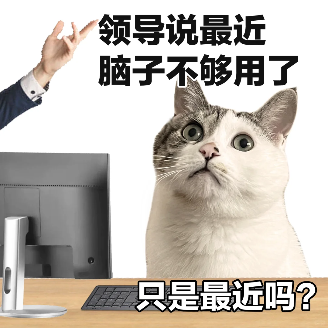 表情包 | 让领导失去所有力气的已读乱回