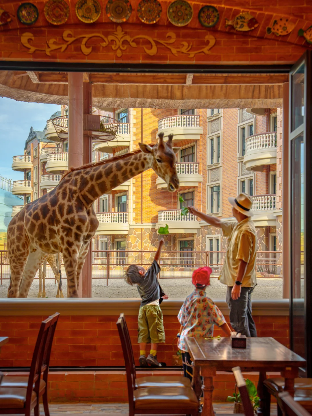 肯尼亚机票退了，去泉州和长颈鹿一起吃饭喽