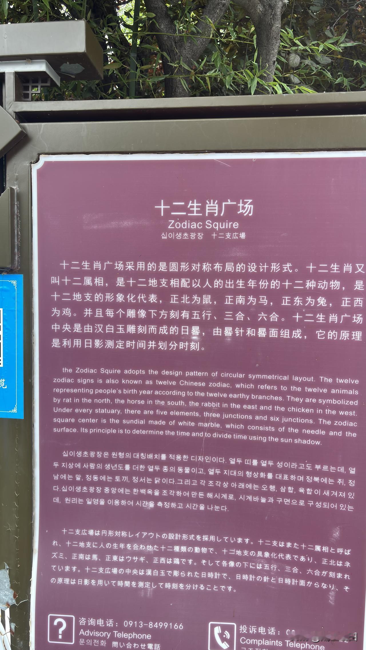 潼关古城的十二生肖广场，挺个性的