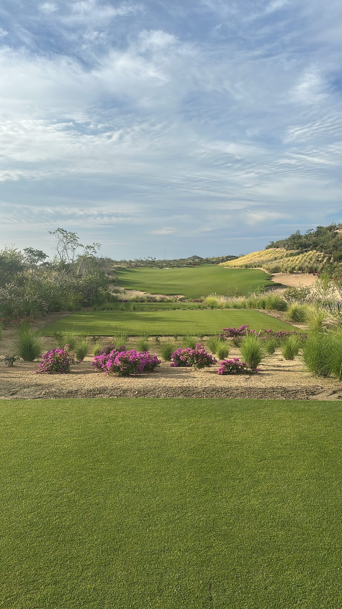 克里斯保罗更新动态新赛季篮不住我的观赛搭子