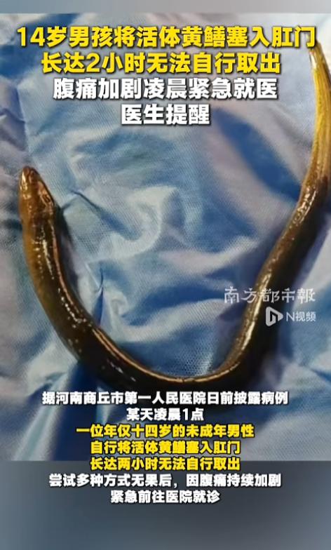 "怎么下的去手的呢！"5月25日报道，河南商丘，一位14岁的男孩凌晨摸黑赶到医院