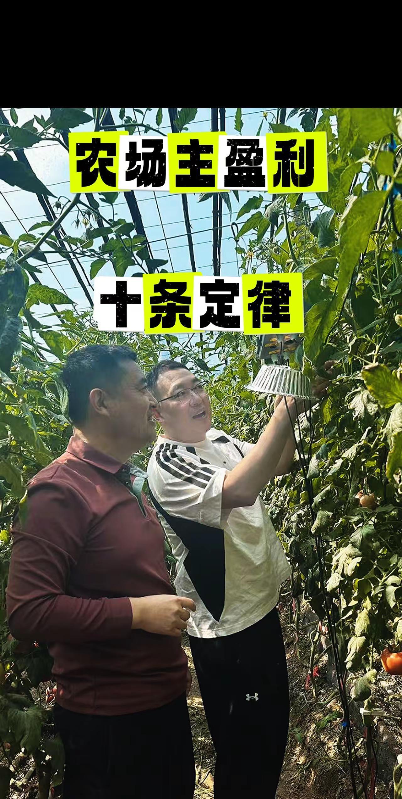 我见过上千个农场主，有赚有赔的，现在我总结出10条盈利铁律，条条都是实战经验，不
