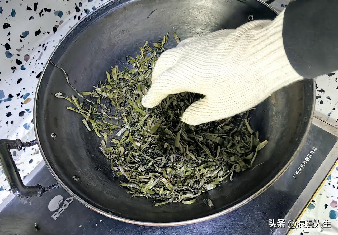 蒲公英最近涨势刚刚好，每年都要挖蒲公英制作蒲公英茶，喝了真是好处多多。制作方法简