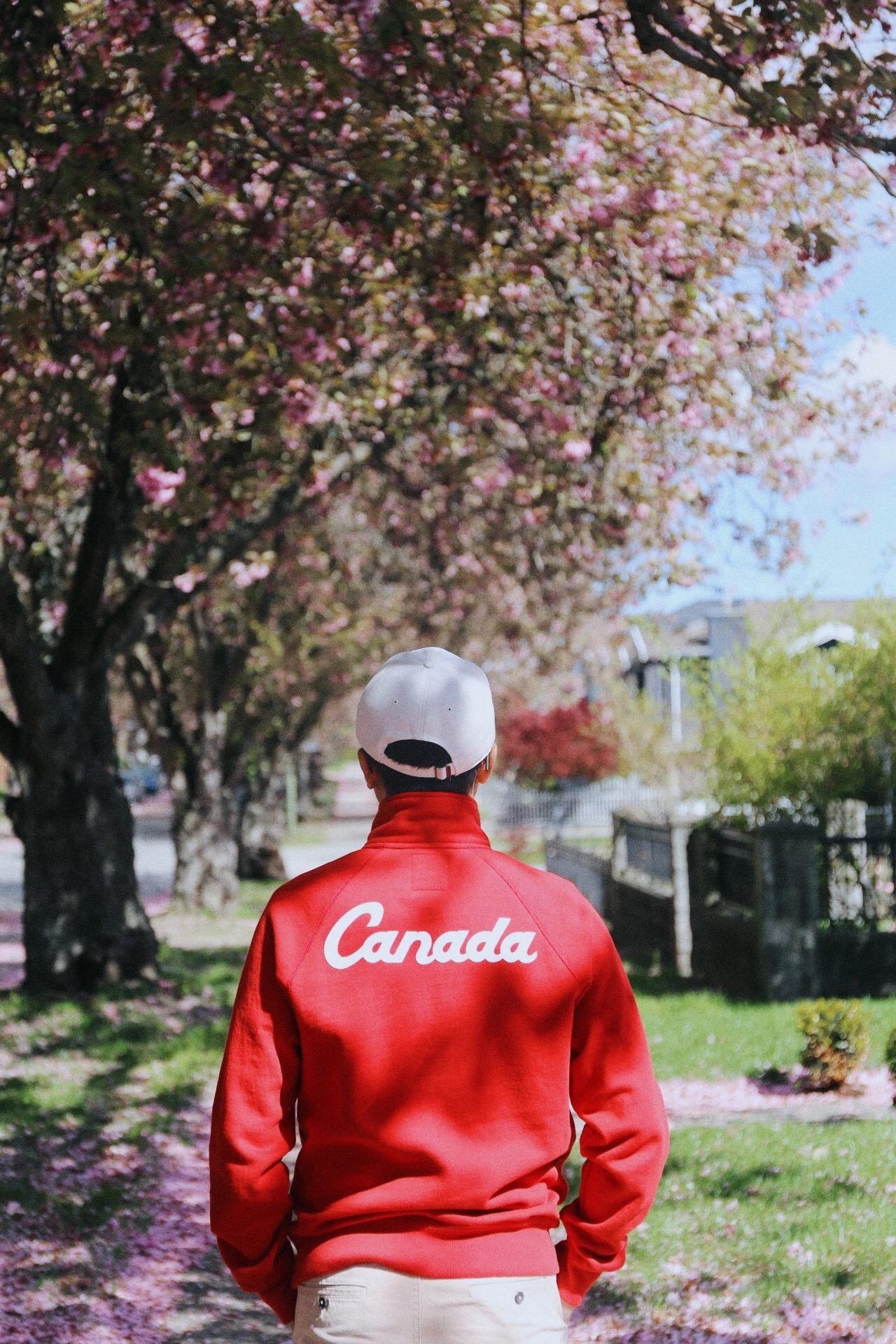 不知何时起，将人生活成了一种倒置。把礼貌周全给了萍水相逢，却将不耐与刻...