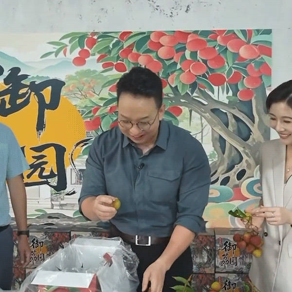 珠海荔枝鲜到西安不止有碧海蓝天，珠海斗门藏着千年荔香，老树佳果出圈，尽显小城深厚