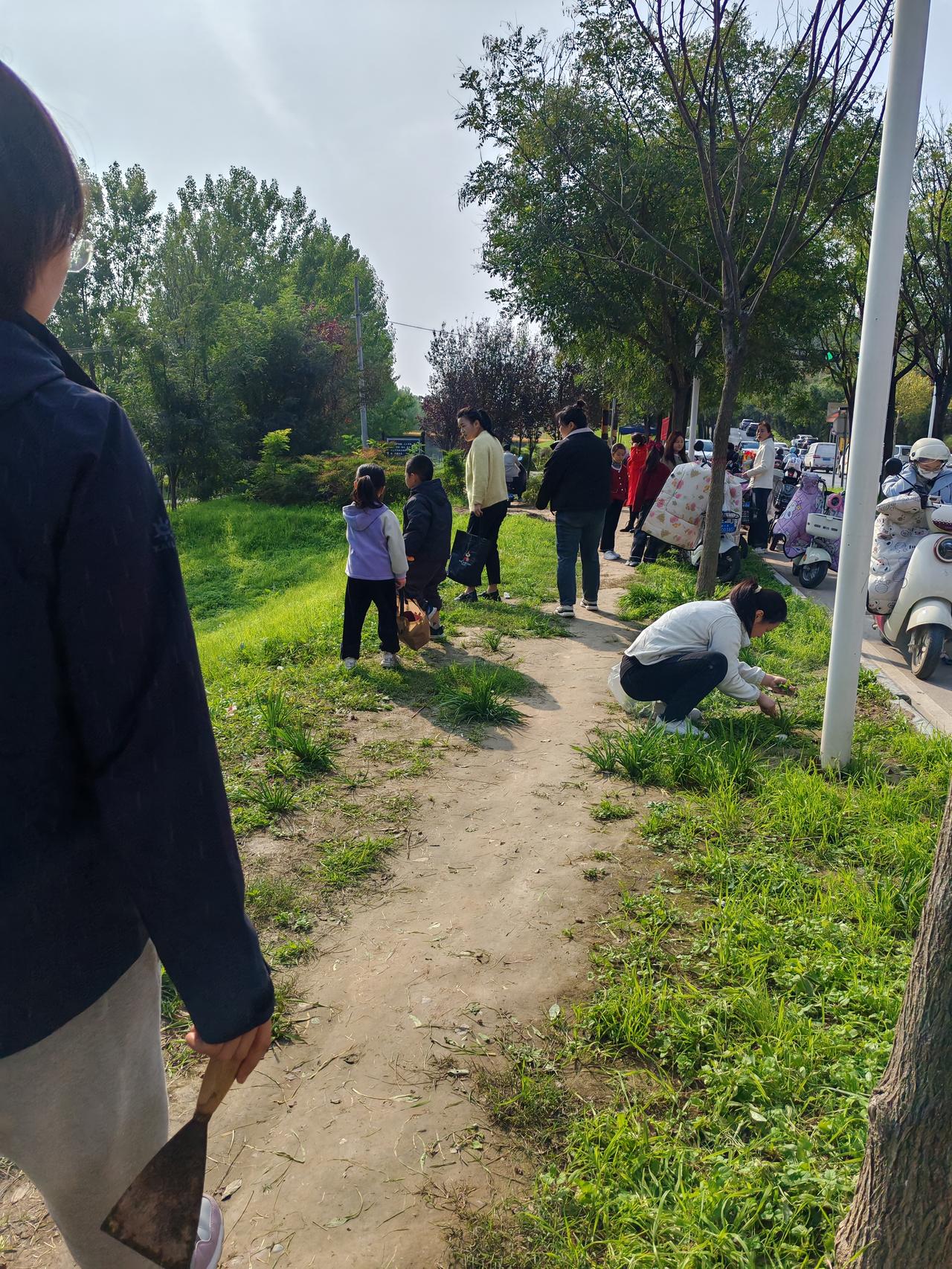西安北郊人撒欢的好地方
10月26日，恰好周末，今天阳光明媚，天气暖融融的，当然