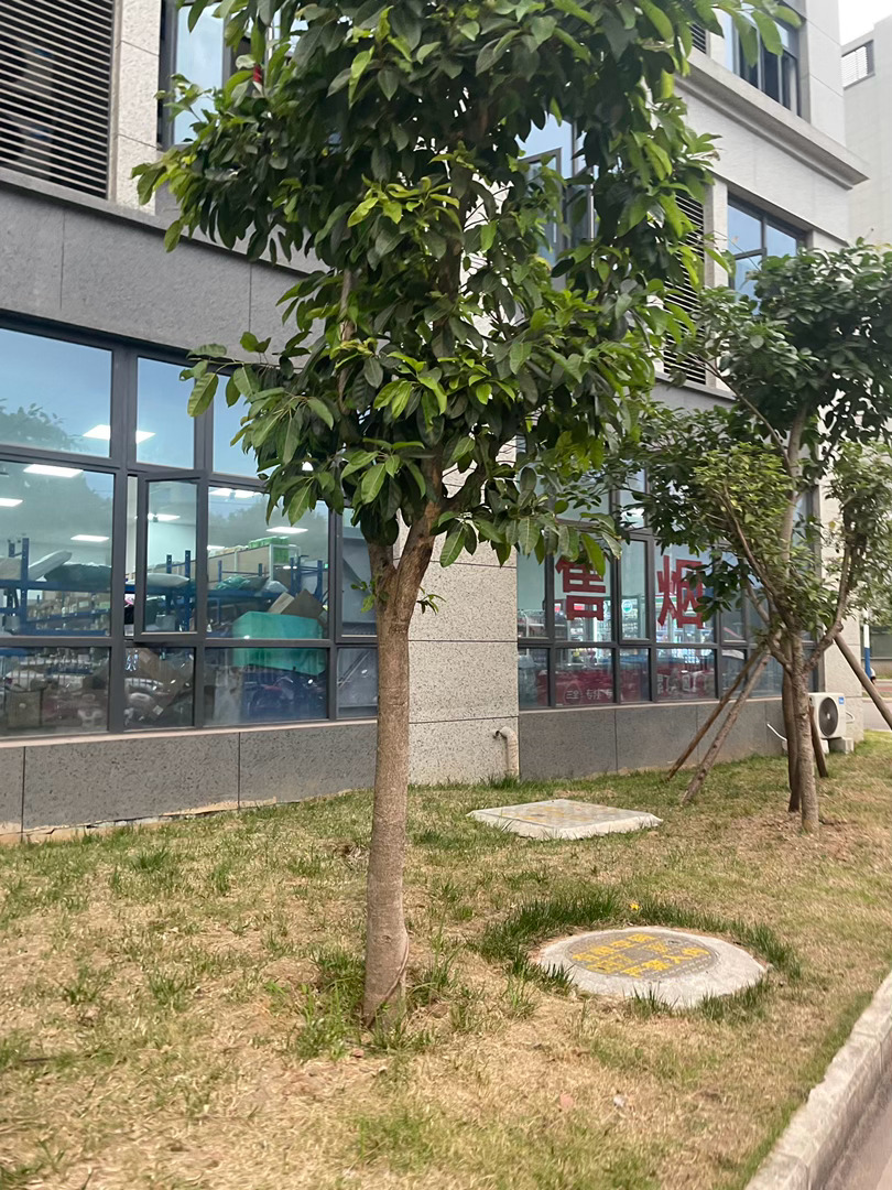 奇说想喝怡宝 晚安晚安明天早起 还要坚持上两天班就又休假啦 