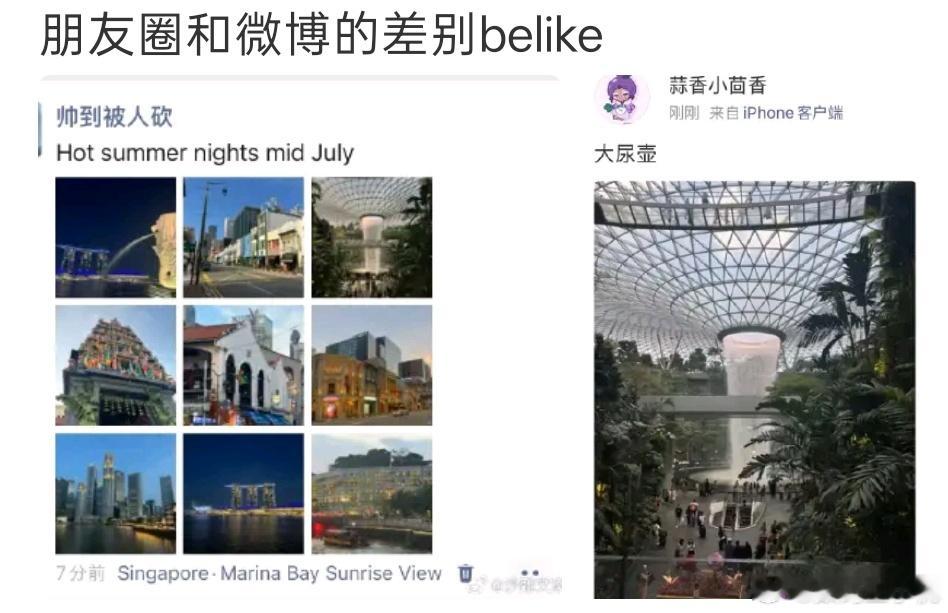 朋友圈和微博的差别belike笑死我了，很多人估计都是这样吧，朋友圈精致九宫格，