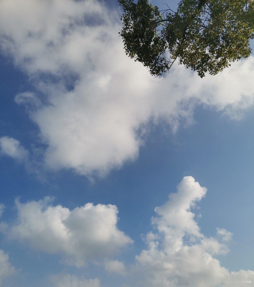 这样的天气，早上还蛮凉爽的，蓝天白云，太美了。 