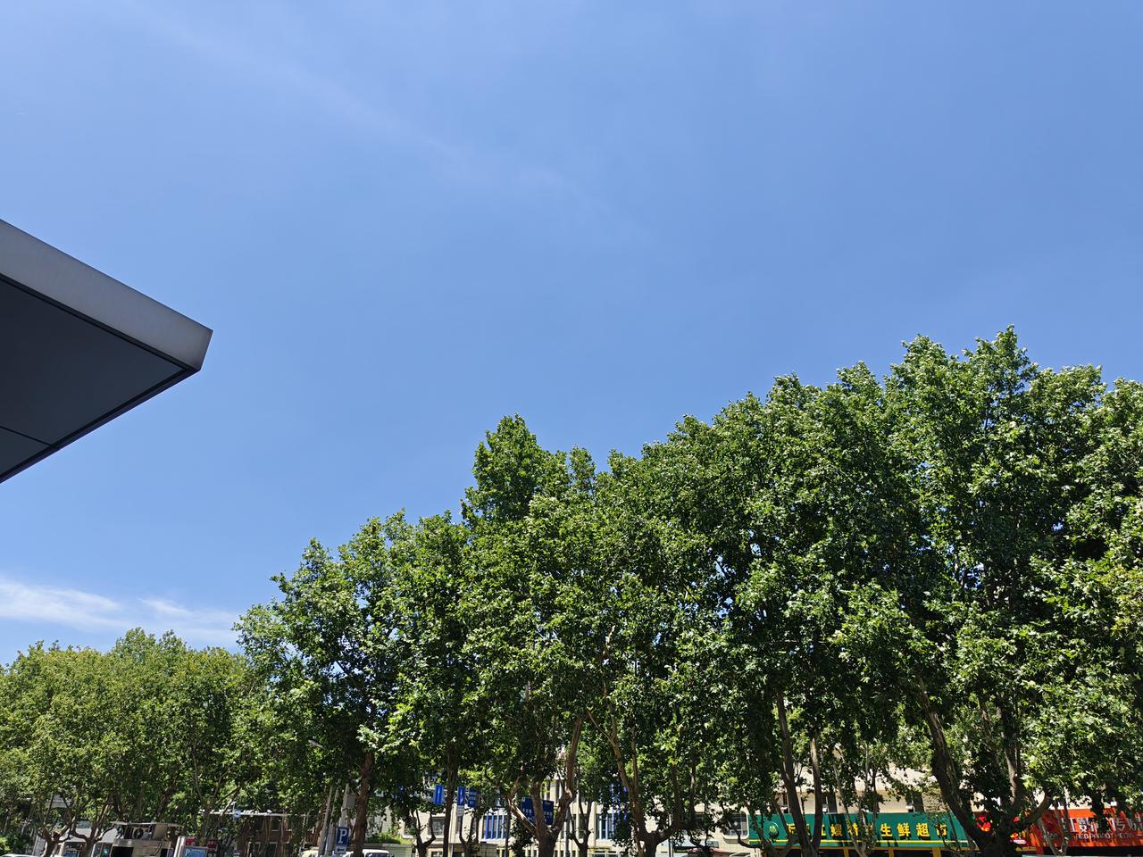 今天的天空格外蓝，万里无云的，就是外面太热了，出去晒了一下几分钟就出了一身汗！