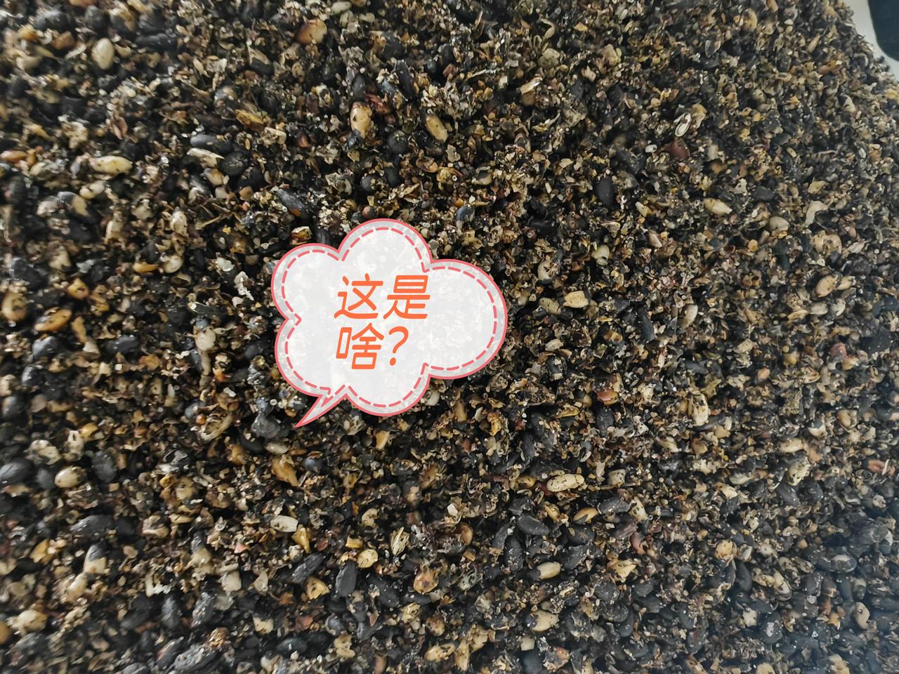 你说说