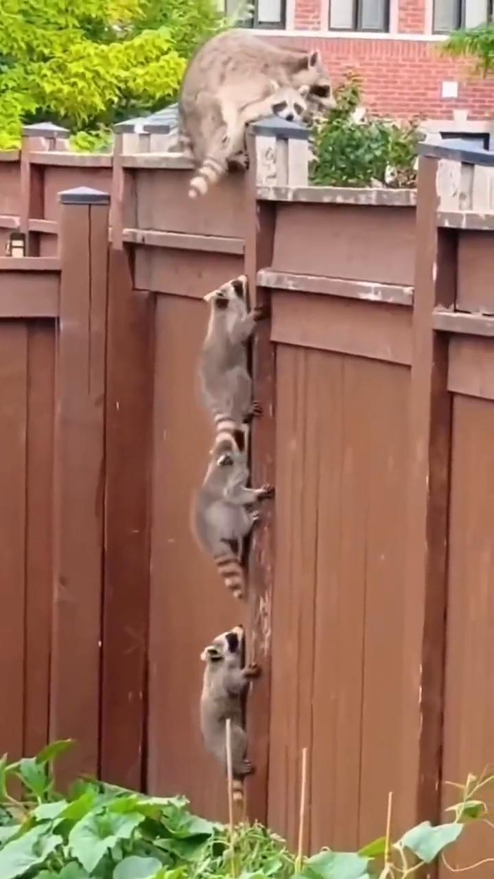 把我生下。