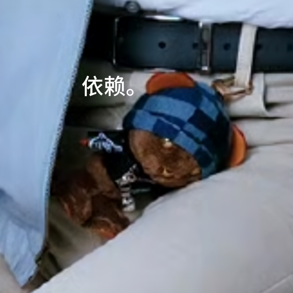 熊熊我啊 先睡了。 