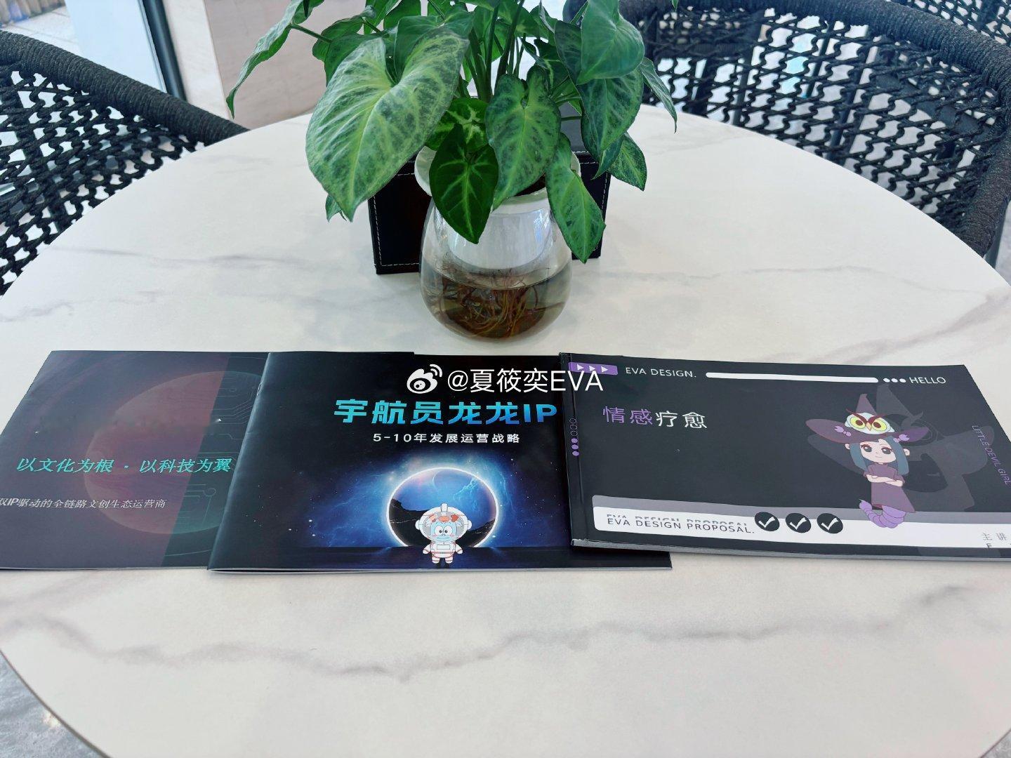 收到我原创的IP项目及企业DM宣传手册不足为奇。懂得都懂：可触摸的，是原创手绘背