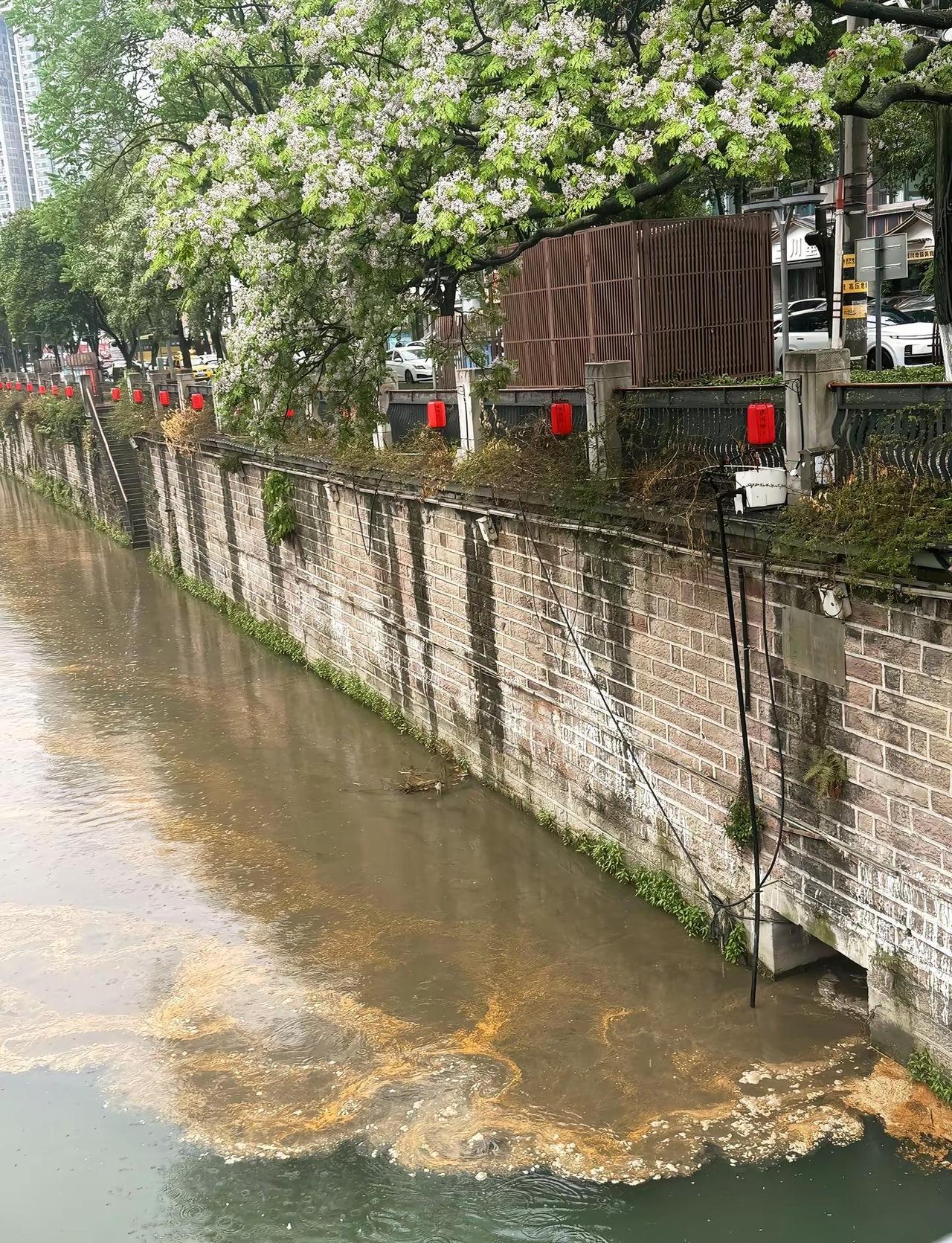 臭死了…锦江河 城市排水