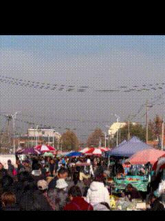 人均50块的县城大集，可把咱山东人给稀罕坏咧！城里一杯咖啡钱，大集上能买俩酱猪蹄