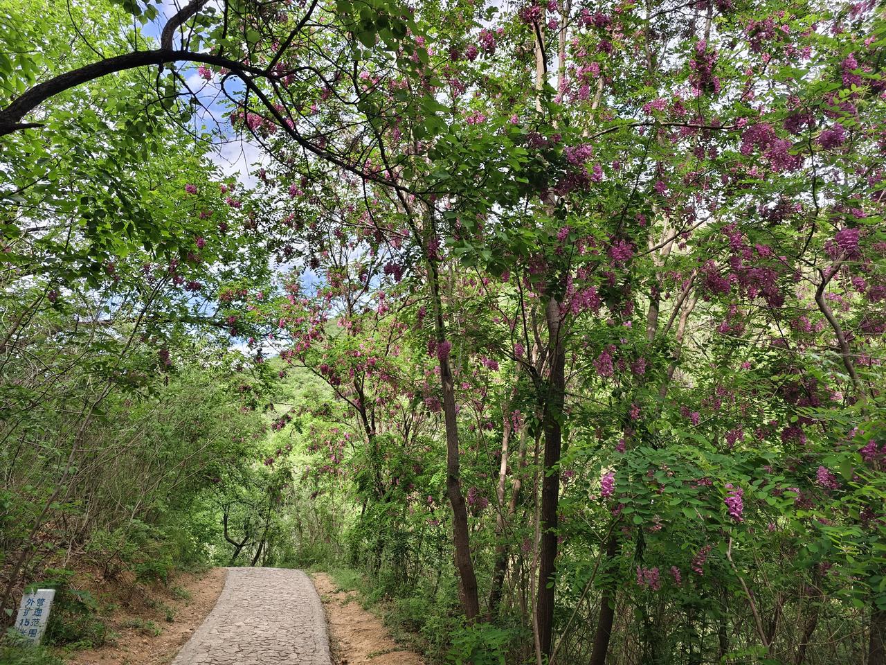 周末登山，健身，北京水长城，十三陵水库，延寿寺，野山。拔牙第三天，还是只能吃流食