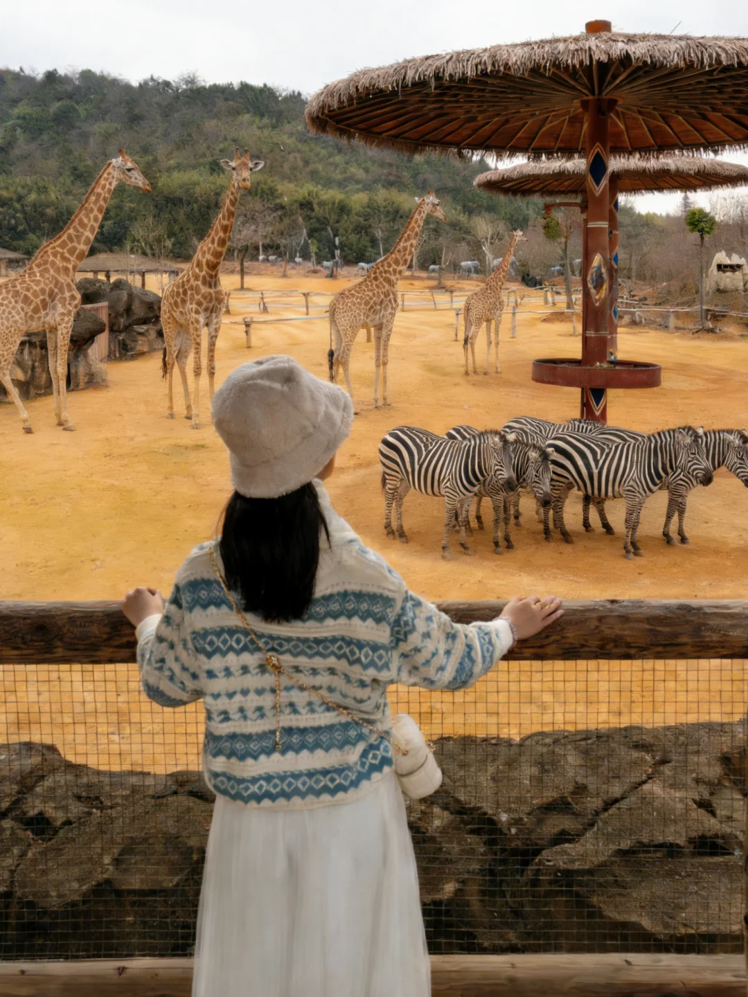 别瞎逛 ❗️去杭州野生动物世界前先看这篇‼️