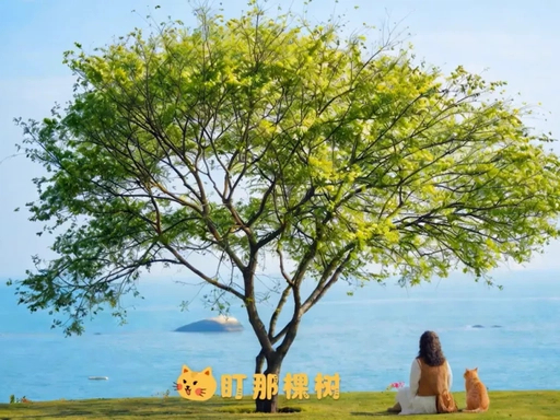 说真的厦门太适合cityrun了鹭岛的浪漫，藏在每一场贴近自然的轻运动里🌊租单