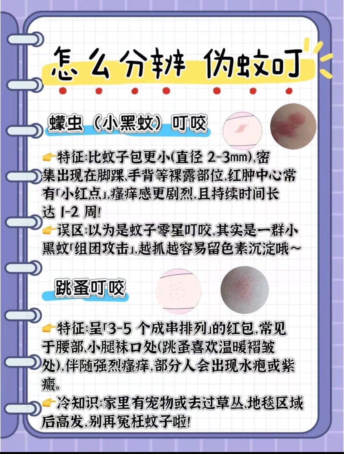 我查了一下两地最快也要8个小时车程，谁能忍住8小时的蚊虫叮咬我觉得铁路局得负相应