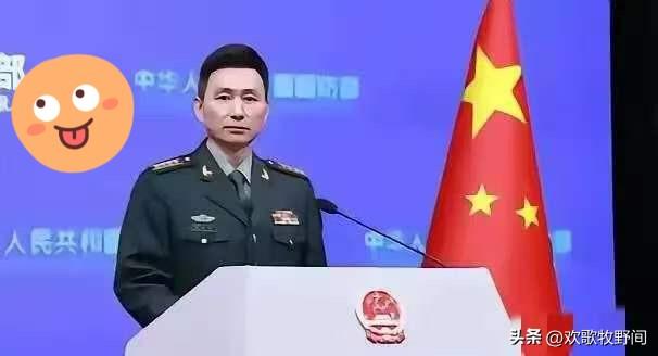 好消息传来！联合国正式向世界宣告：“中国人成功当选”！联合国总部会议大厅里，掌声