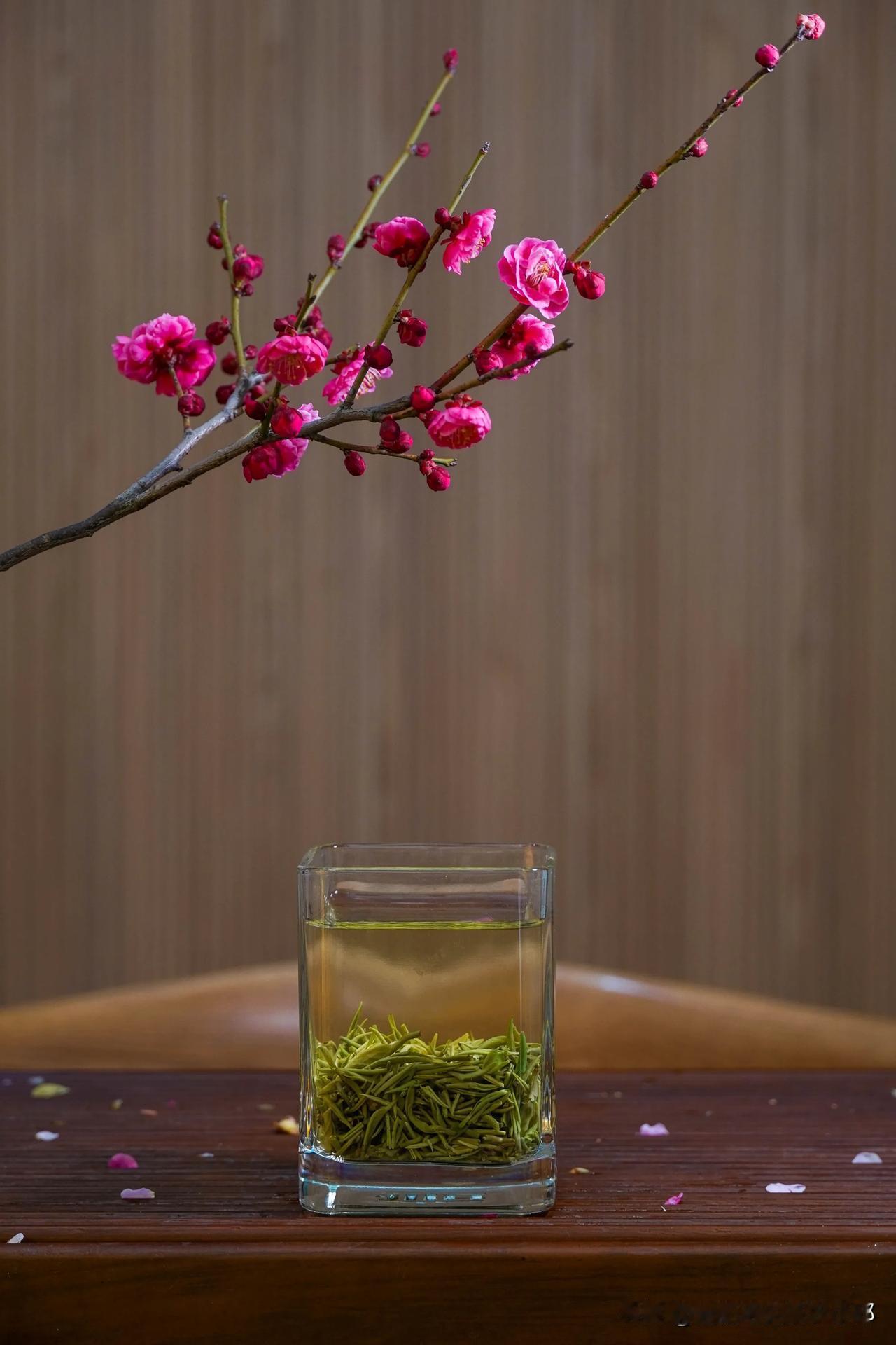 往春天深处去，嫩寒风来，春气倒寒，反而更想念温暖的茶汤。