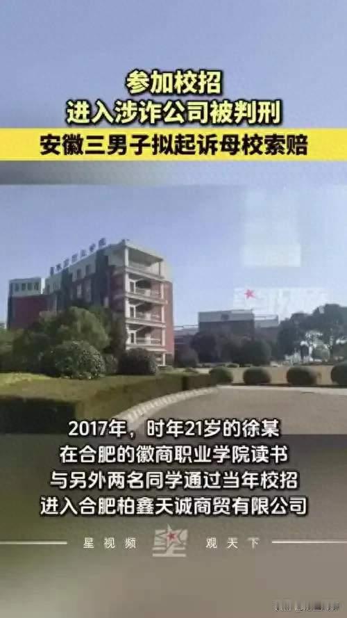 校招进了诈骗公司，被判刑4年：他们出狱后要告母校