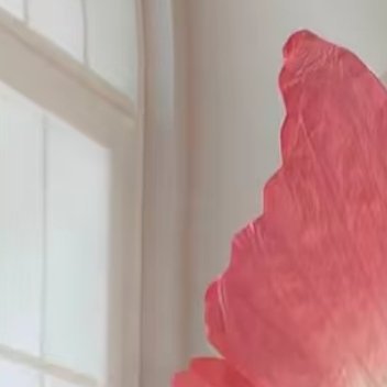 见过花开就好了，何必在意花落谁家，又何必在意为谁而开，至少有一刻你闻到了花香，体