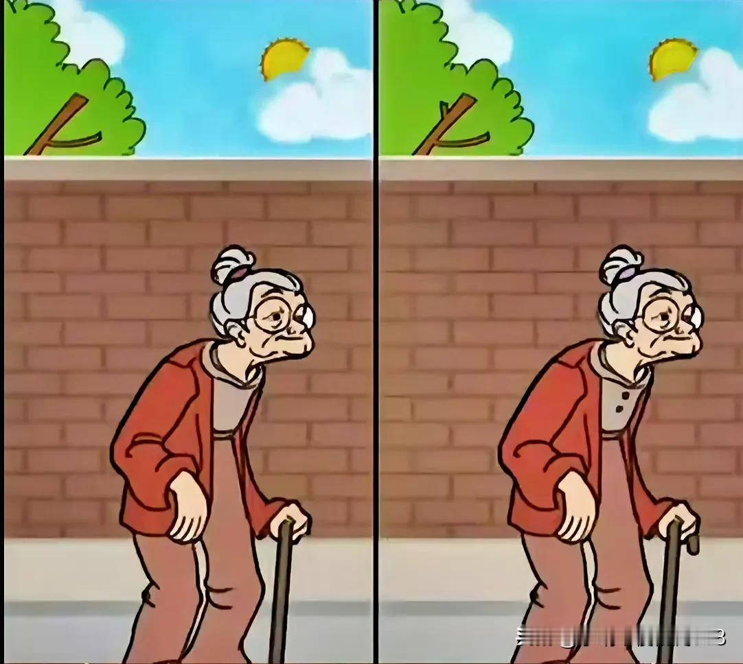 老人的智慧，是岁月的沉淀
考眼力
找找有5处不同[灵光一闪]
