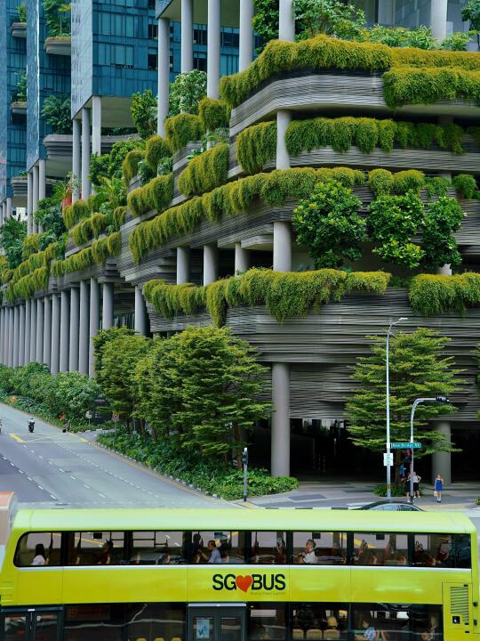 为了这18张照片❗️特意飞了趟新加坡值得吗？