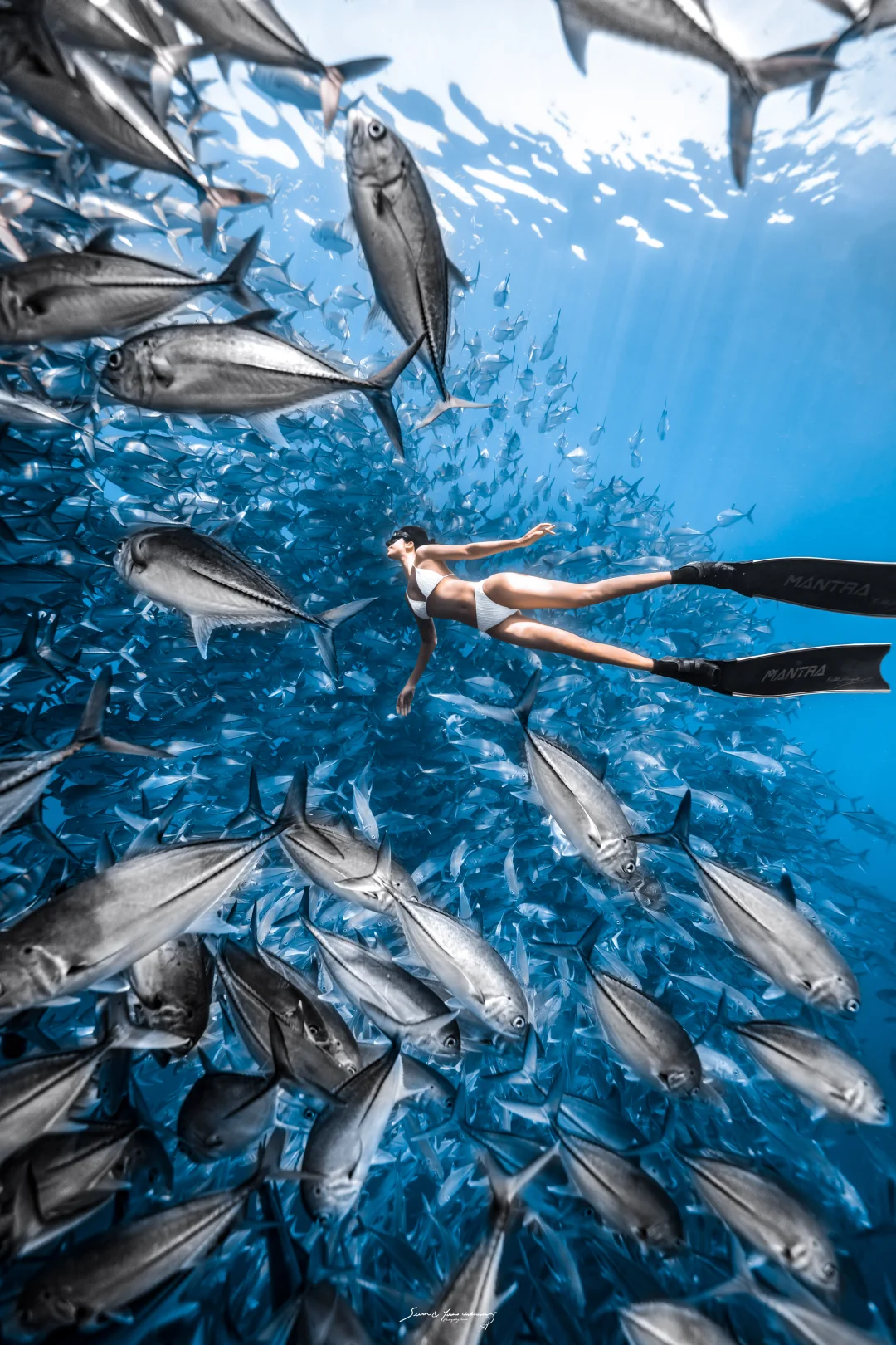 2026的第一波杰克风暴｜菲律宾🇵🇭薄荷岛