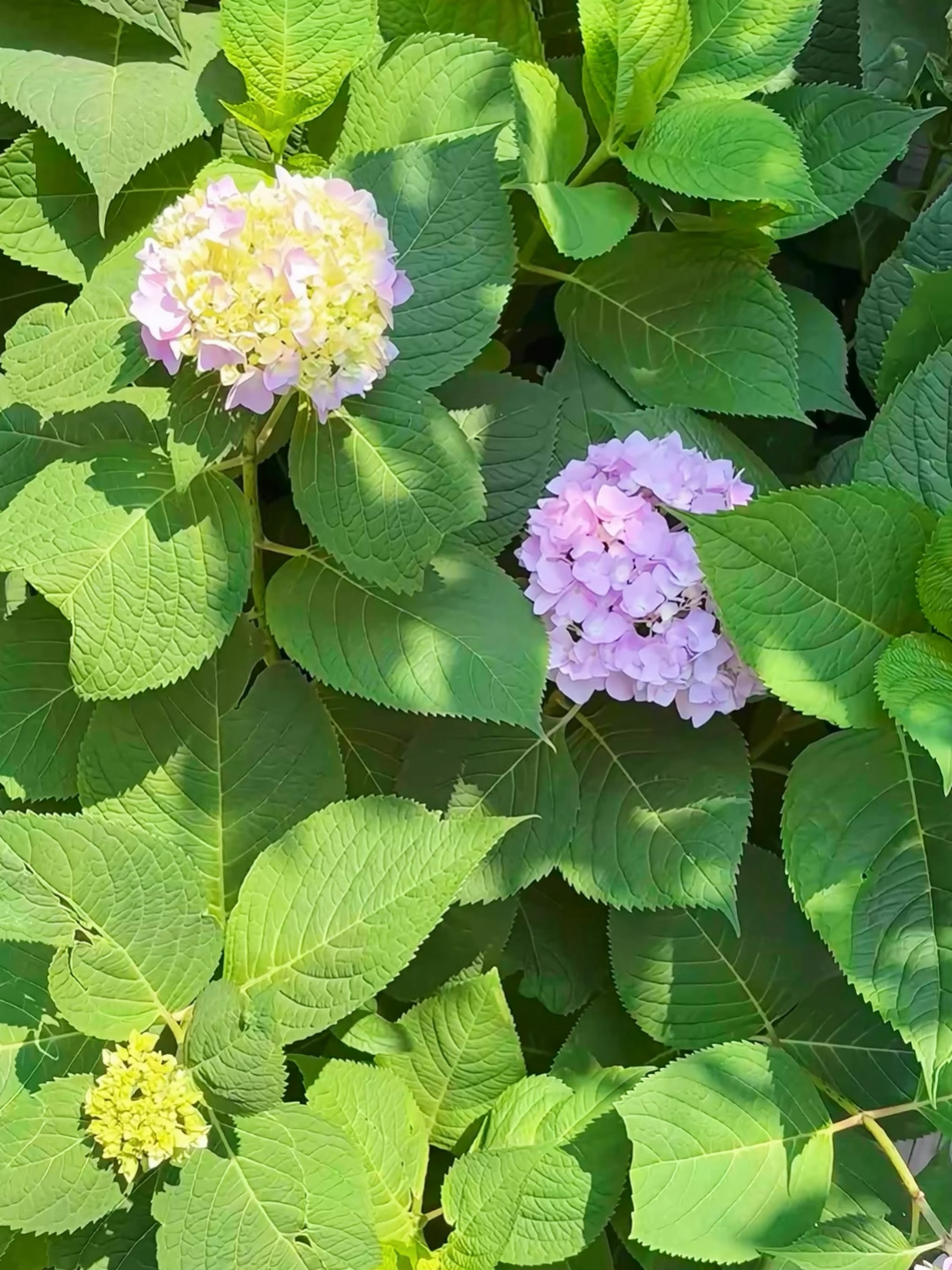 📷 ​​​